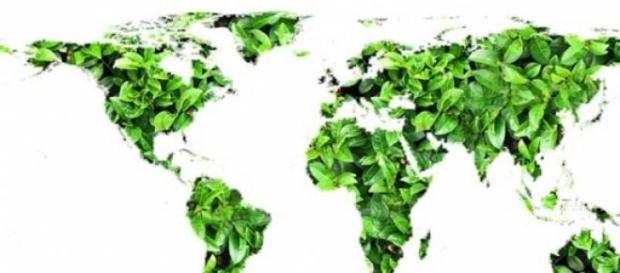 Faltan políticas para cuidar el madioambiente Faltan políticas para cuidar el madioambiente