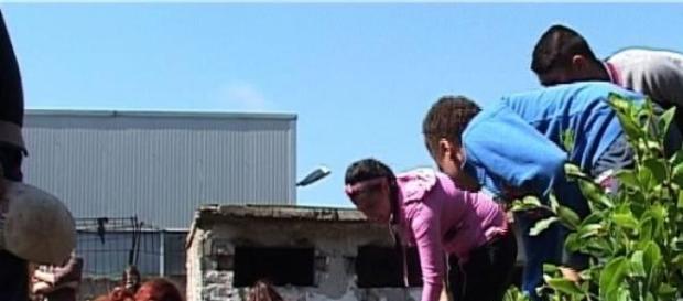 Voluntarii plantează gardul viu Voluntarii plantează gardul viu