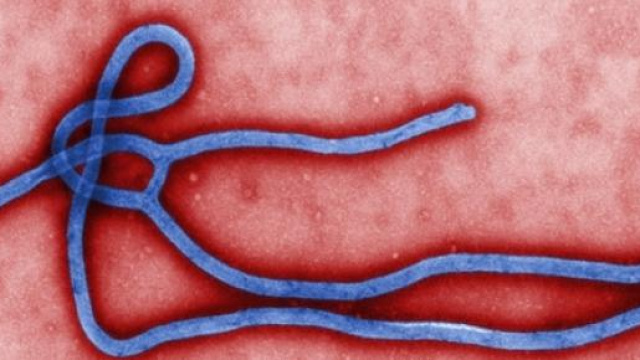 Infermiere italiano è risultato positivo al test