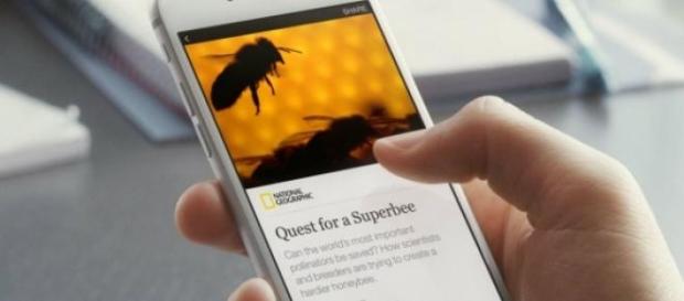 National Geographic en Instant Articles National Geographic en Instant Articles