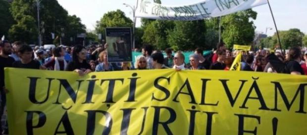Romanii sunt sfidati de investitorii pro-defrisare Romanii sunt sfidati de investitorii pro-defrisare