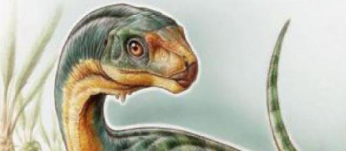 El Chilesaurus Diegosuarez