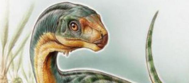 El Chilesaurus Diegosuarez El Chilesaurus Diegosuarez