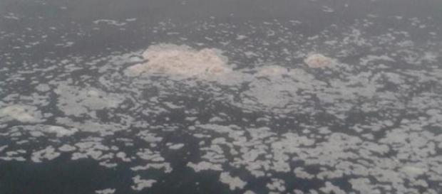 Espuma no Tejo perto de Abrantes Espuma no Tejo perto de Abrantes