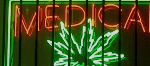 Marihuana terapéutica y su autoabastecimiento Marihuana terapéutica y su autoabastecimiento