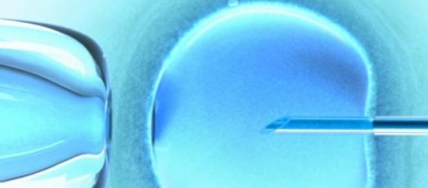 Simulazione microscopio di fecondazione assistita Simulazione microscopio di fecondazione assistita