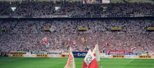 Stuttgart muss am 16.5.15 gegen den HSV gewinnen! Stuttgart muss am 16.5.15 gegen den HSV gewinnen!