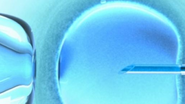 Simulazione microscopio di fecondazione assistita