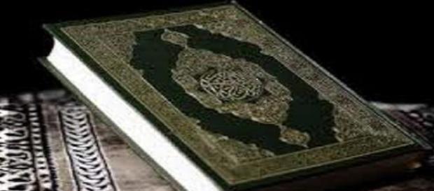 Les salafistes souillent le Coran Les salafistes souillent le Coran