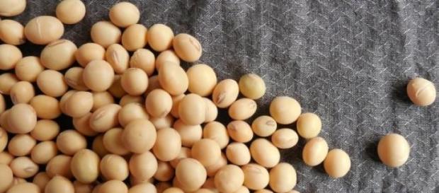 Soja influencia no preço de varejo de produtos Soja influencia no preço de varejo de produtos
