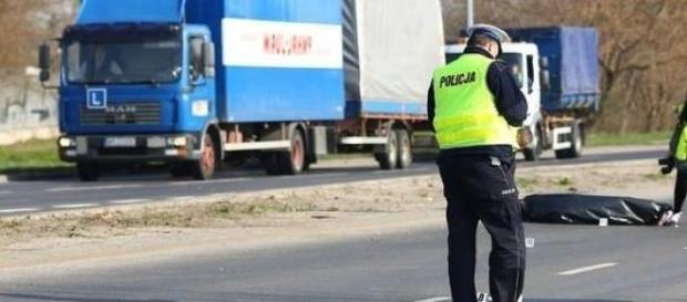 Zabił dziewczynę na pasach, echodnia.eu Zabił dziewczynę na pasach, echodnia.eu