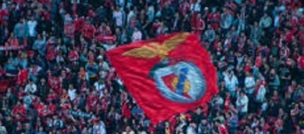 Benfiquista em festa pelo bicampeonato. Benfiquista em festa pelo bicampeonato.