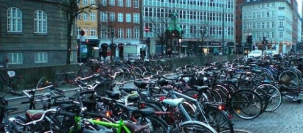 Le Danemark est le meilleur pays pour le cyclisme. Le Danemark est le meilleur pays pour le cyclisme.