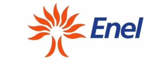 Il grande distributore di energia elettrica Enel