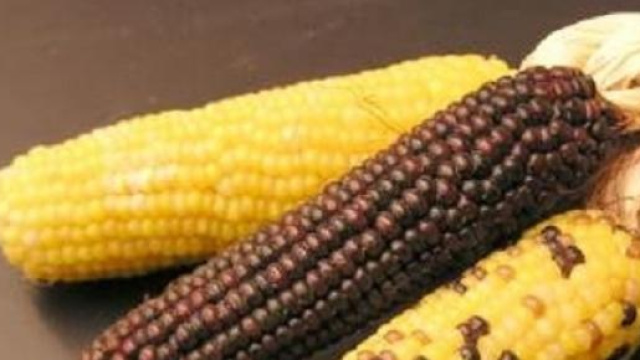 No agli ogm, si agli agricosmetici