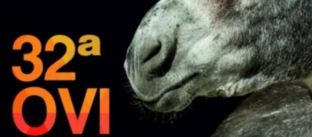 Ovibeja 2015, todo o Alentejo deste mundo Ovibeja 2015, todo o Alentejo deste mundo