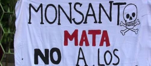 Monsanto complice del crimen de los agrotóxicos