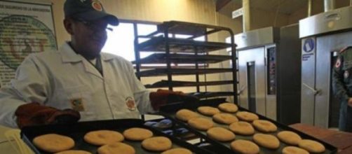El gobierno espera triplicar la producción de pan