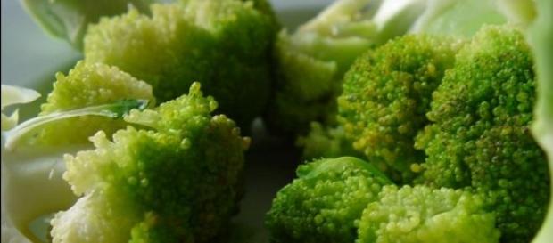 Brócoli, un aliado para nuestra salud Brócoli, un aliado para nuestra salud