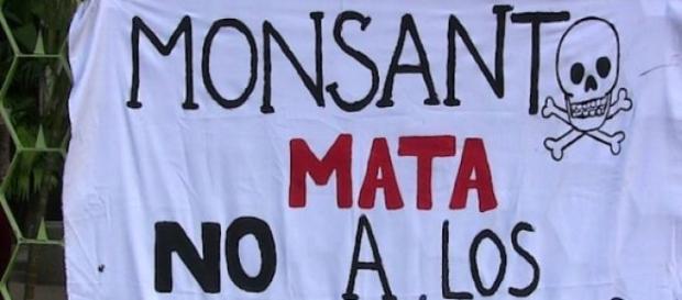 Monsanto complice del crimen de los agrotóxicos Monsanto complice del crimen de los agrotóxicos