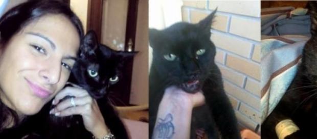 Diana com a gata Lara, que ficou muito maltratada Diana com a gata Lara, que ficou muito maltratada