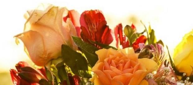 Dzień Matki 2015 już 26 maja Dzień Matki 2015 już 26 maja