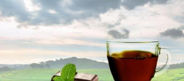 El té verde en combinación con el chocolate negro El té verde en combinación con el chocolate negro