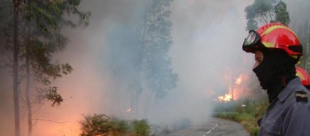 Incêndio em Ponte de Lima Incêndio em Ponte de Lima