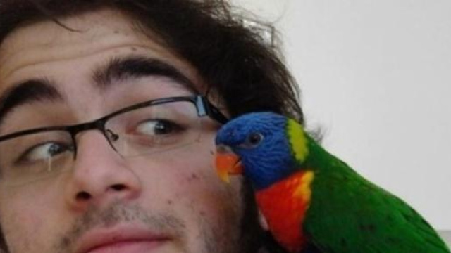 Caso Domenico Maurantonio, le ultime news