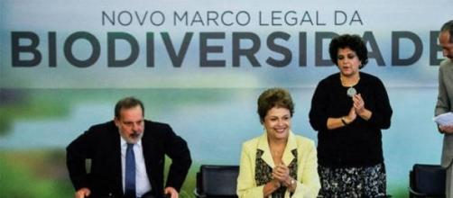 Dilma Rousseff em cerimônia no Palácio do Planalto