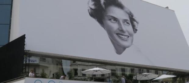 68.ª edição Festival de Cannes 68.ª edição Festival de Cannes