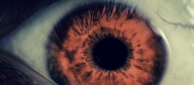 Ein Blick hinter „Fear The Walking Dead“ Ein Blick hinter „Fear The Walking Dead“
