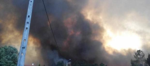 Incêndio de Ponte de Lima ameaçou casas. Incêndio de Ponte de Lima ameaçou casas.