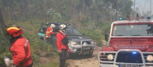 Mais de 50 elementos estiveram no terreno Mais de 50 elementos estiveram no terreno