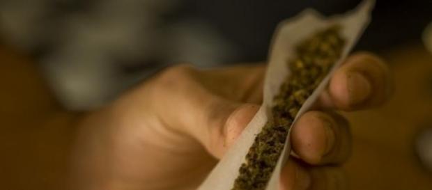 Mortler warnt vor Verharmlosung von Cannabiskonsum Mortler warnt vor Verharmlosung von Cannabiskonsum