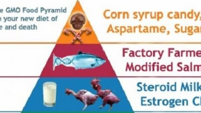 Gli OGM sarebbero sicuri per la salute e la fame