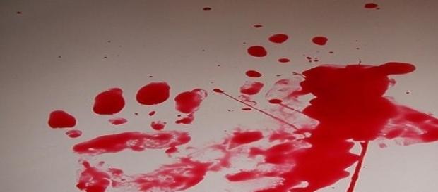 Elena Ceste, per i giudici Michele è l'assassino Elena Ceste, per i giudici Michele è l'assassino