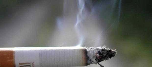 O tabaco mata milhões de pessoas por ano O tabaco mata milhões de pessoas por ano