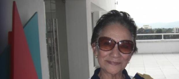 Dra. Sofia Hernández, profesor titular en la UNAM Dra. Sofia Hernández, profesor titular en la UNAM