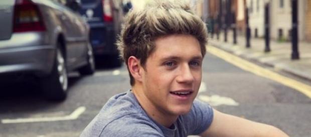 Niall Horan apoia o casamento homossexual. Niall Horan apoia o casamento homossexual.
