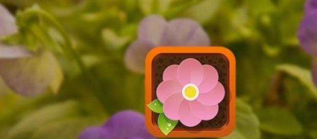 A app Flower Power ajuda a ter plantas em casa. A app Flower Power ajuda a ter plantas em casa.