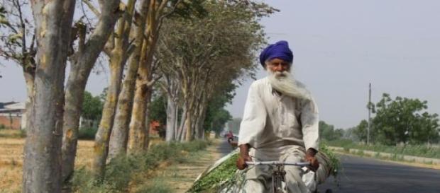 Anciano en bicicleta. India. Fuente: pixabay.com Anciano en bicicleta. India. Fuente: pixabay.com