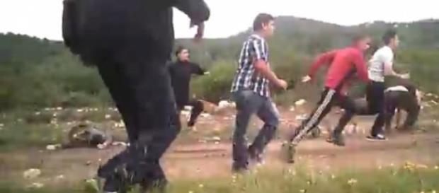 Incidentele continuă în scandalul defrişărilor Incidentele continuă în scandalul defrişărilor