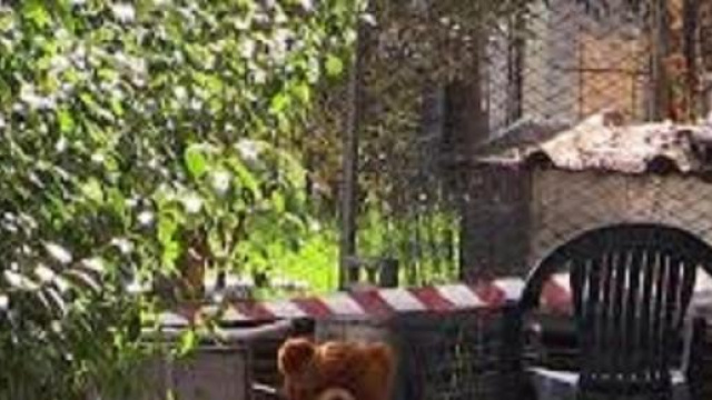 Il giardino dove è avvenuta la tragedia.