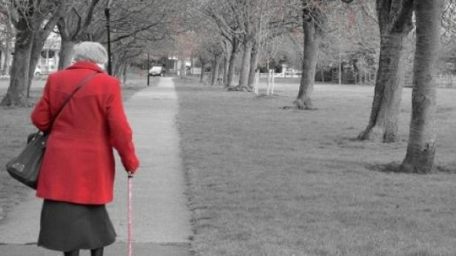 Situazione pensioni al 26 maggio: ultime notizie