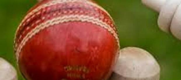 England have appointed Trevor Bayliss as coach England have appointed Trevor Bayliss as coach