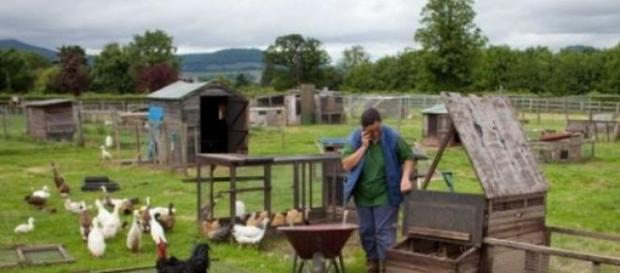 Instalarea la ţară a tinerilor fermieri Instalarea la ţară a tinerilor fermieri