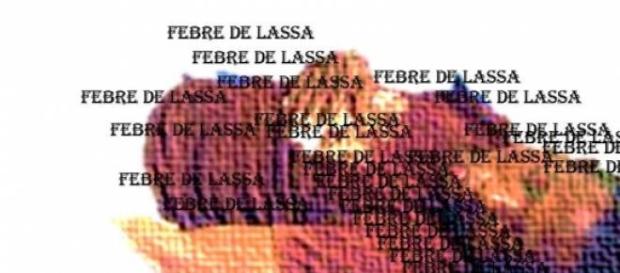 Doença de Lassa pode ser letal Doença de Lassa pode ser letal