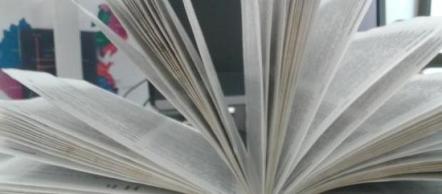 O livro é o melhor amigo do homem O livro é o melhor amigo do homem