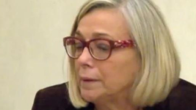 DDL Scuola Renzi: giudizio di Mariangela Bastico